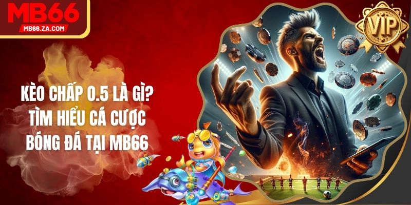 Kèo Chấp o.5 Là Gì? Tìm Hiểu Cá Cược Bóng Đá Tại MB66