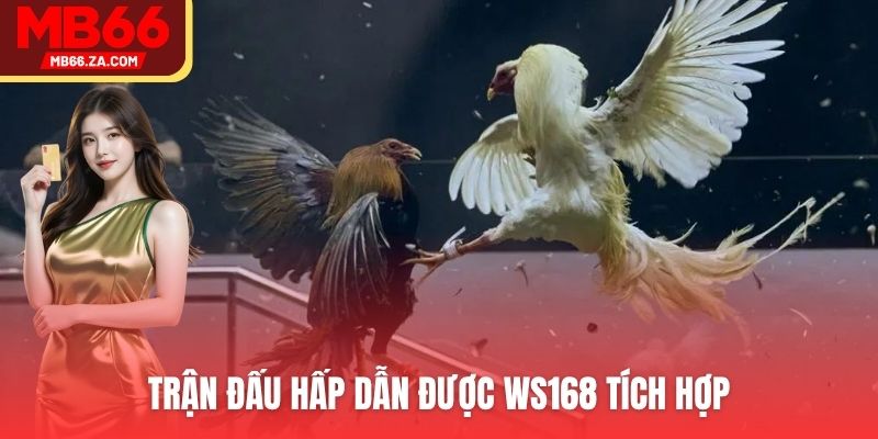 Tham gia đặt cược cùng nhà phát hành WS168